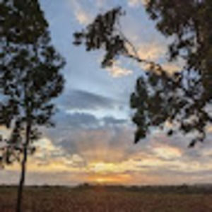 Meet your Posher, Cathy